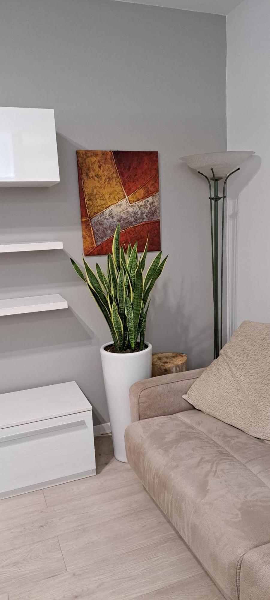 Marco Venice Apartment Bagian luar foto